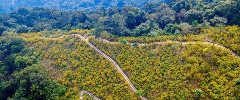 Meliá logra la neutralidad en carbono en más de 4.000 eventos en 2024 con su programa 'Road to Net Zero Events'. | MELIÁ HOTELS INTERNATIONAL ep melia logra la neutralidad en carbono en mas de 4000 eventos en 2024 con su programa road to net