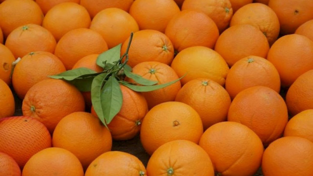 ep naranjas