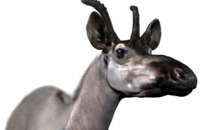 ep reconstrucciondecennatherim rex