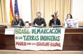 ep representantepueblo guarani-kaiowa encongreso