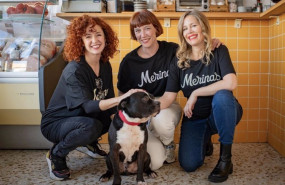 ep restaurante las merinas en carabanchel madrid que admite animales en su interior