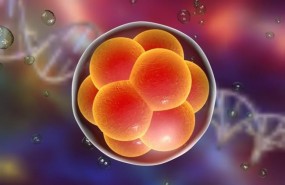 ep sistemadiagnostico genetico preimplantatorioinvasivobiopsia liquida