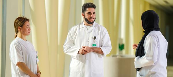 image1 20241104123817