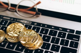 pexels pexels photo 8919571 pexels pexels photo 8919571