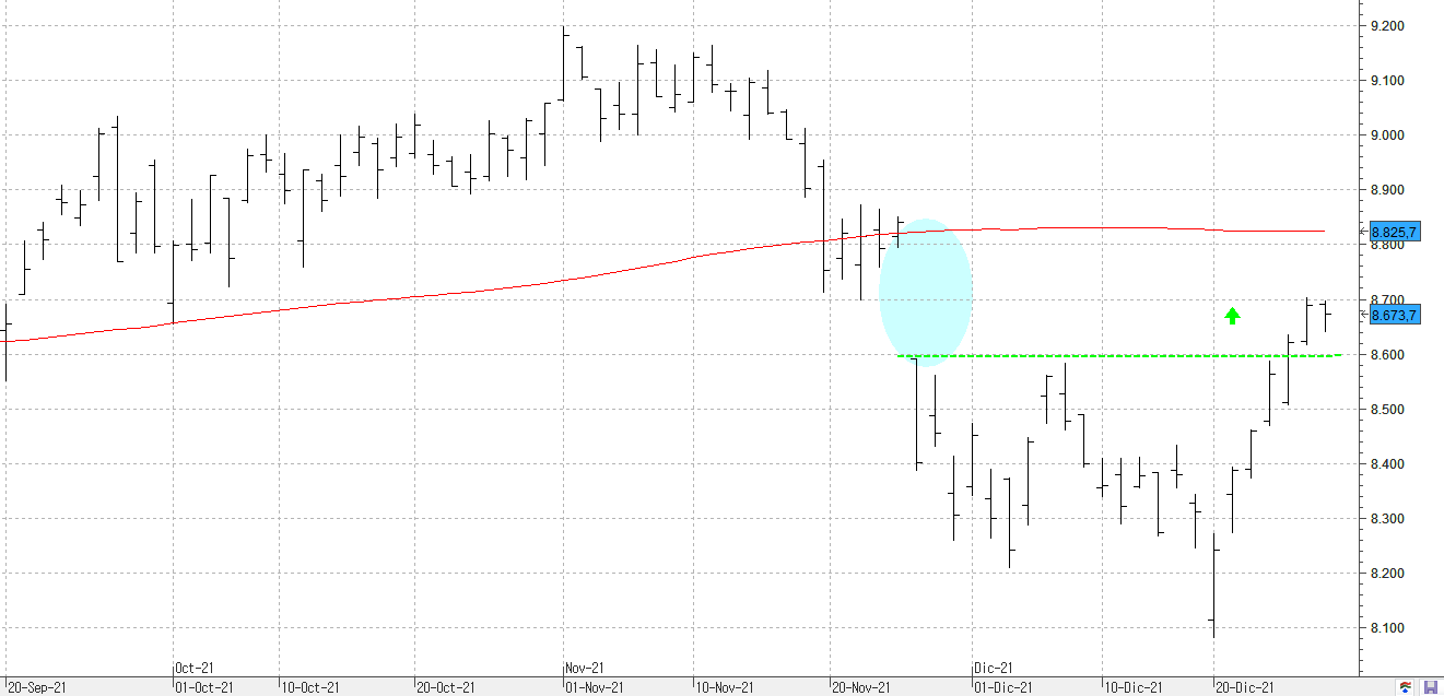 c291221ibex