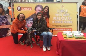 ep adopcionrefugio