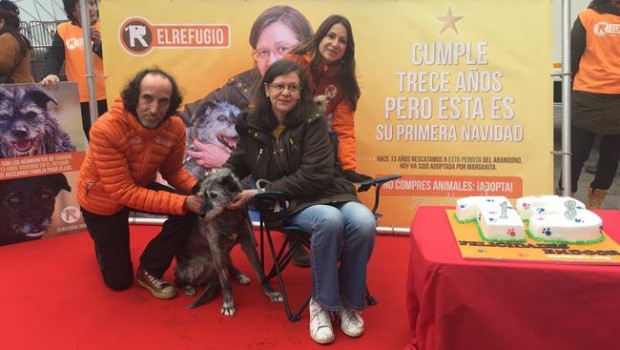 ep adopcionrefugio