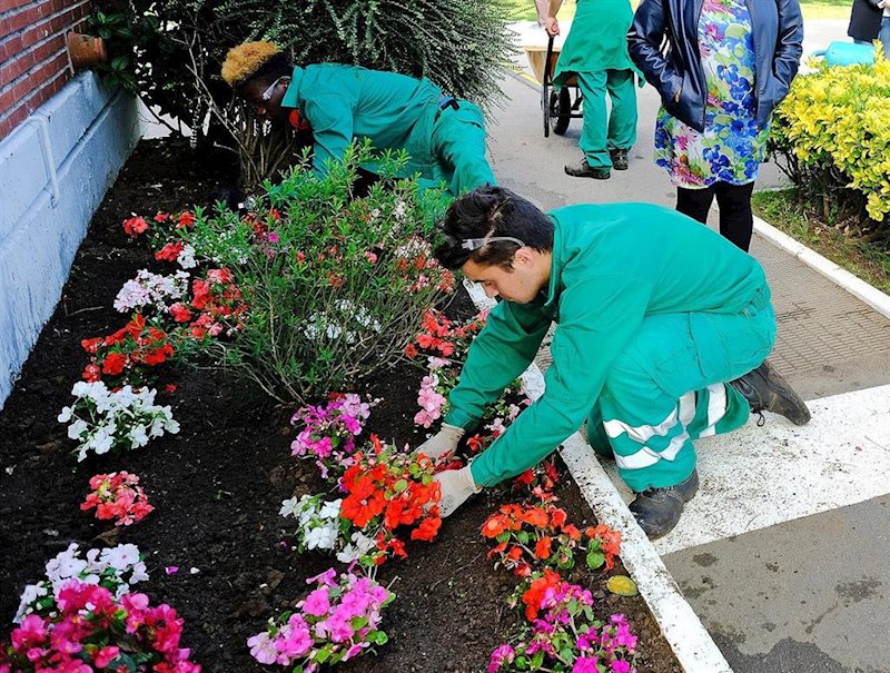 ep alumnos de formacion profesional de jardineria en santander