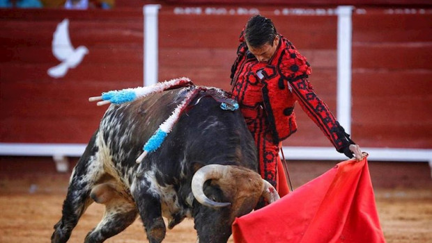 ep corrida de toros goyesca de algeciras el diestro jose maria manzanares en un muletazo durante la