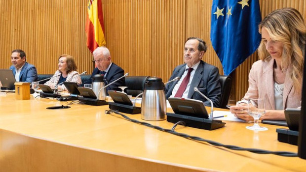 ep la presidenta de la airef cristina herrero 2 por la izquierda en su comparecencia ante la