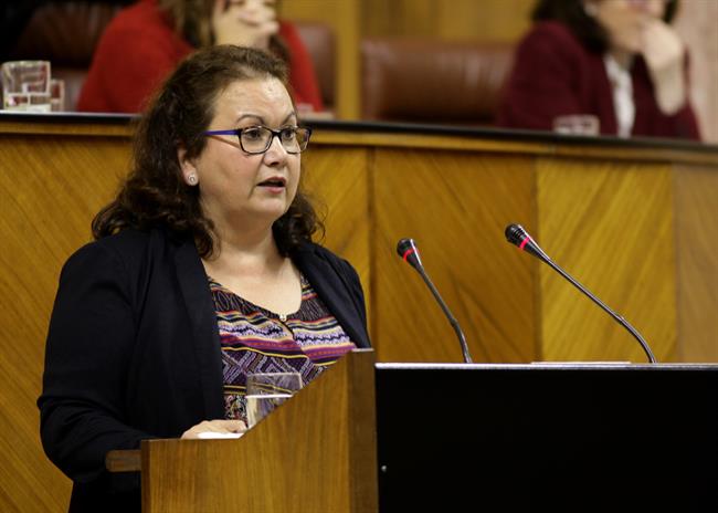 María del Carmen Prieto, diputada de Cs | EUROPA PRESS/PARLAMENTO ep mariacarmen prieto diputadacs