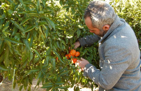 ep parola agriculturaincremento un 11 en julio con 1646 parados mas