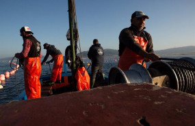 ep pescadores abordo de un barco pesquero