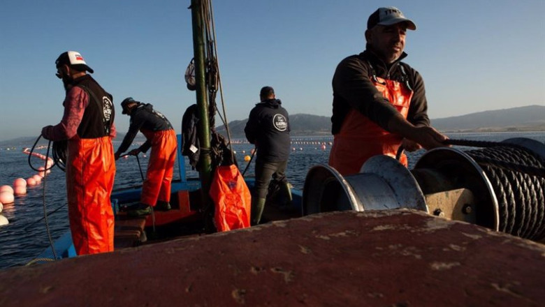 ep pescadores abordo de un barco pesquero ep pescadores abordo de un barco pesquero
