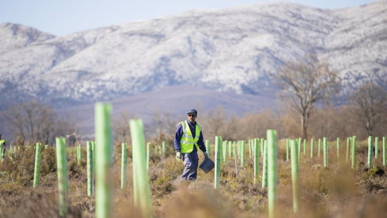 ep proyecto de reforestacion de la fundacion repsol ep proyecto de reforestacion de la fundacion repsol