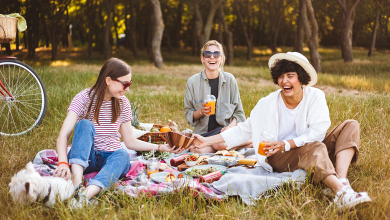 group laughing girls happily spending time beautiful picnic with little dog park 1 