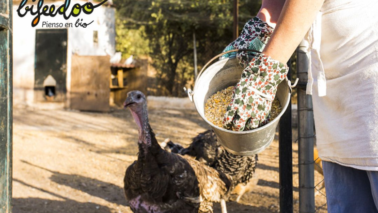 pienso ecologico