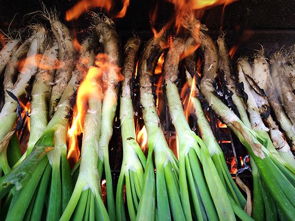 1583422448 cal otada con cal ots de valls