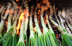 1583422448 cal otada con cal ots de valls 1583422448 cal otada con cal ots de valls