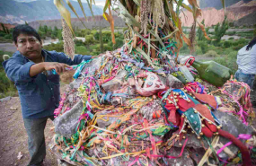 1643018128 elcarn 1 20220124132624 