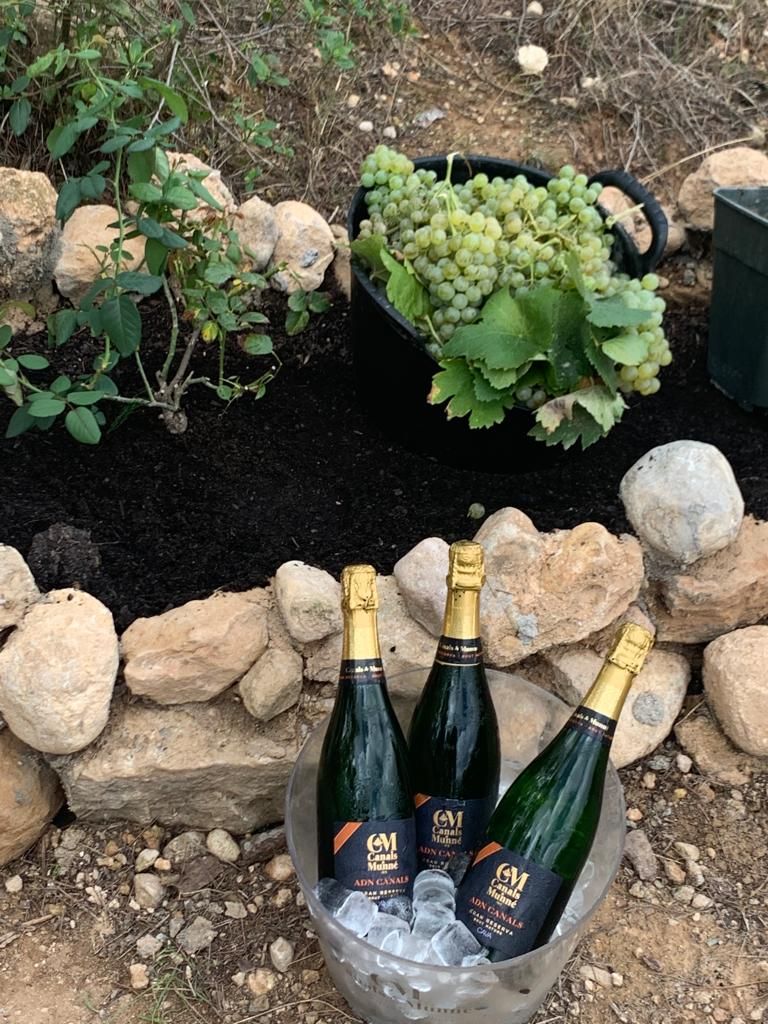 desayuno entre vias 2