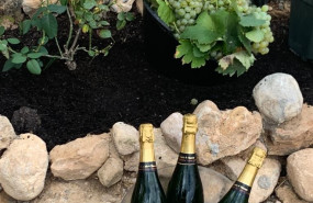 desayuno entre vias 2