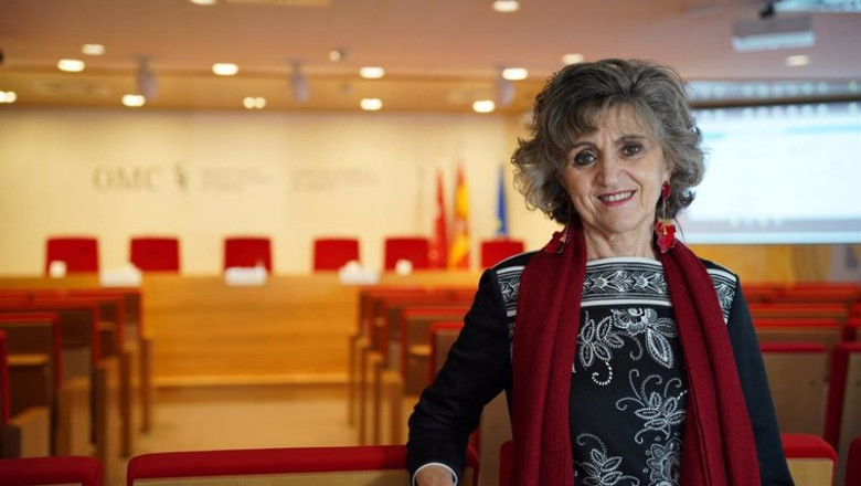 ep archivo la nueva presidenta de la comision del pacto de toledo maria luisa carcedo ep archivo la nueva presidenta de la comision del pacto de toledo maria luisa carcedo