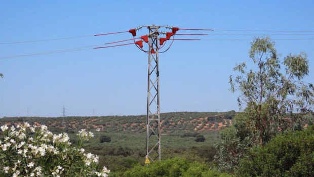 ep archivo   uno de los apoyos ya aislado del tendido electrico corregido en la provincia de jaen