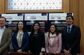 ep cicloconferenciascelulas madrefundacion ramon areces