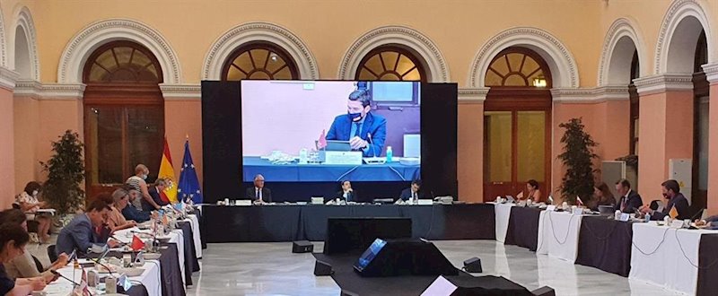 ep el consejero antonio luengo durante su intervencion en la conferencia sectorial de agricultura
