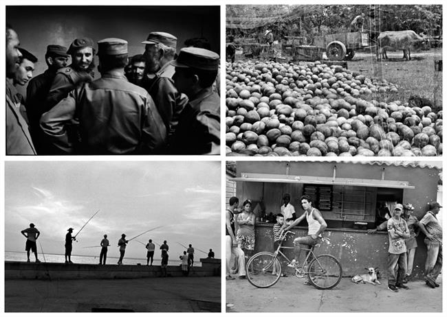 Fotografías de Elliott Erwitt | RJB-CSIC ep fotografiaselliott erwitt