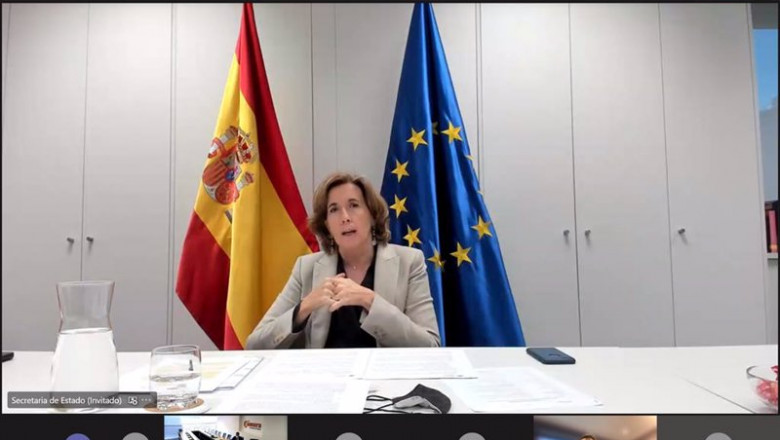 ep la secretaria de estado de economia y apoyo a la empresa ana de la cueva en la comision de