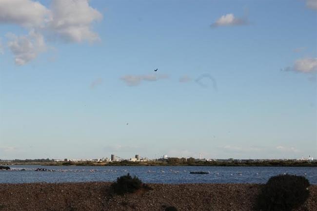 Marismas del Odiel en Huelva. | EUROPA PRESS/PUERTO DE HUELVA ep marismasodielhuelva