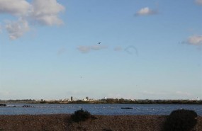 ep marismasodielhuelva