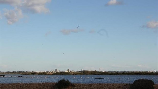 ep marismasodielhuelva