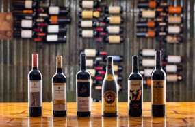 ep vinos de faustino portia campillo de familia martinez zabala