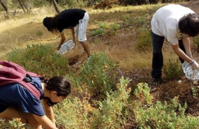 ep voluntarios plantando un arbol en granada