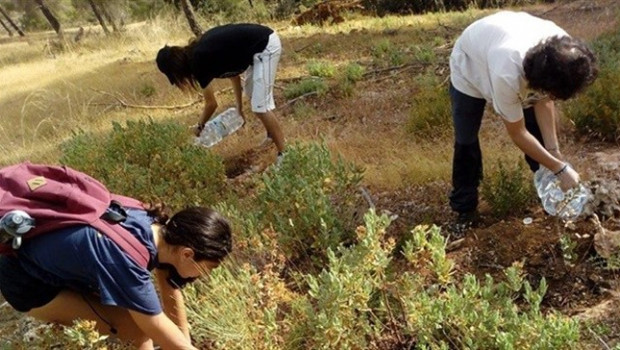 ep voluntarios plantando un arbol en granada