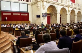 ep votacionplenoparlamento andaluz