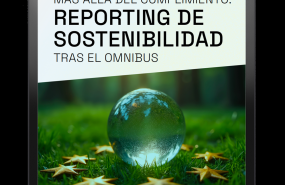 mockup omnibus report cover es mockup omnibus report cover es