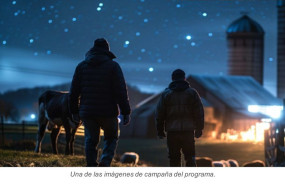 programa seub programa seub