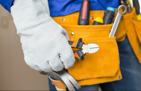 1607963439 imagen 1607963439 imagen