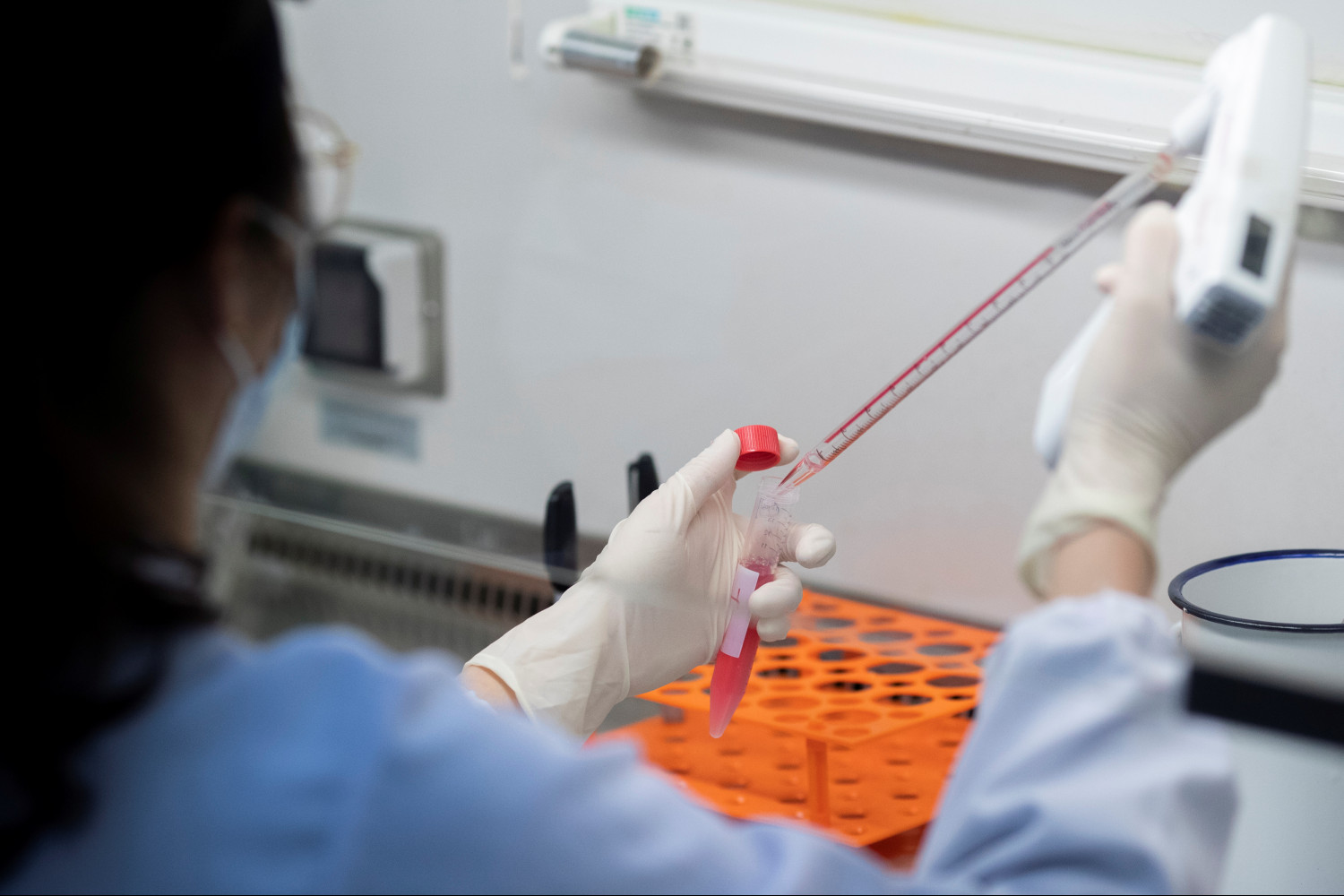 coronavirus des chercheurs chinois ont identifie des anticorps prometteurs 