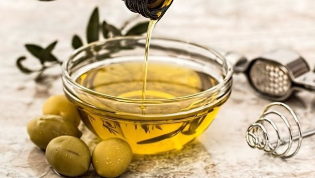 ep archivo - aceite de oliva