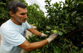 ep archivo   agricultor en el campo 20220224125504