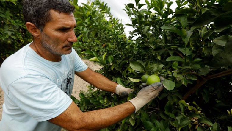 Archivo - Agricultor en el campo | Edu Botella - Europa Press - Archivo ep archivo agricultor en el campo 20220224125504