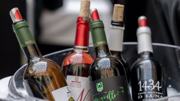 ep archivo   algunas de las botellas de vino expuestas durante la inauguracion del xxi salon de los