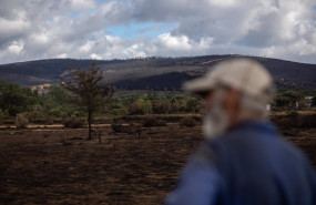 ep archivo   un hombre mira el estado de la zona de cabanas de aliste tras el incendio sofocado hace