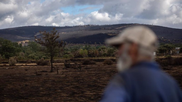 ep archivo   un hombre mira el estado de la zona de cabanas de aliste tras el incendio sofocado hace