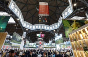 ep barcelona wine week